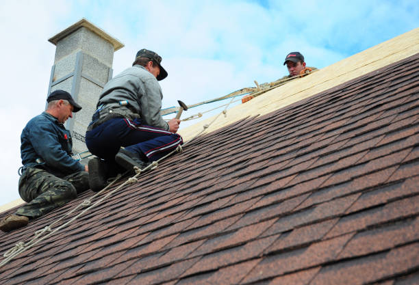 Best Roof Gutter Cleaning  in Lower Lake, CA